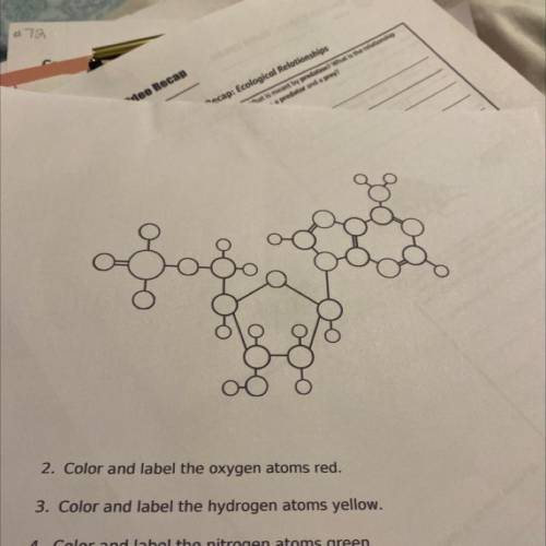 Color answer key or this worksheet if it’s available