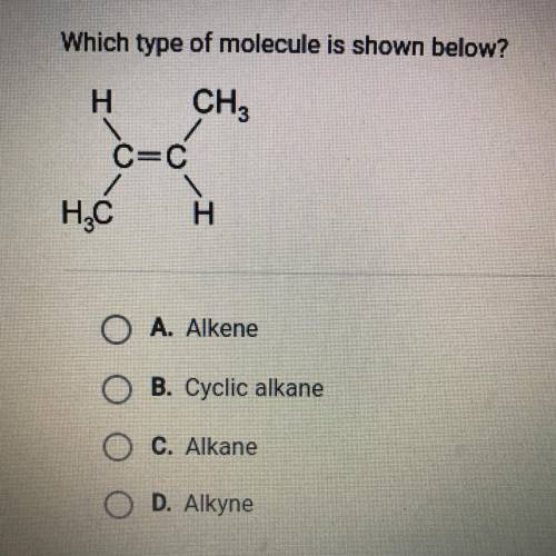 Which type of molecule is shown below?

O A. Alkene
O B. Cyclic alkane
O C. Alkane
O D. Alkyne