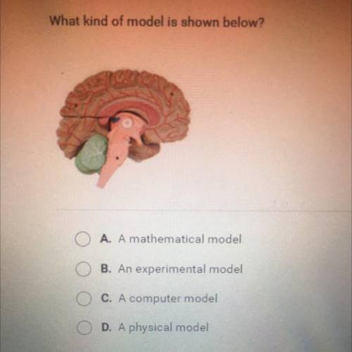 What kind of model is shown below?

O A. A mathematical model
B. An experimental model
O C. A comp