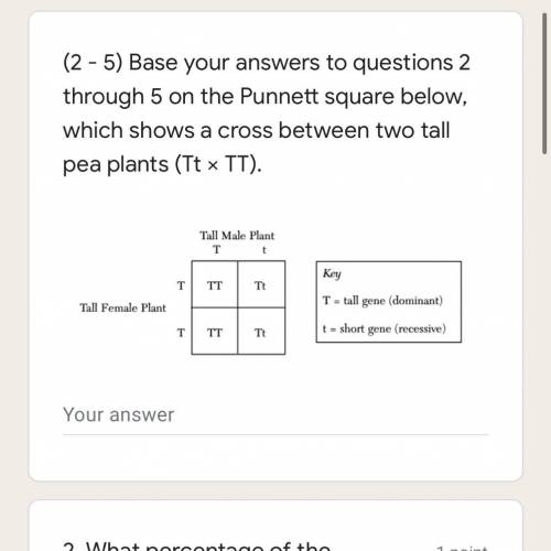 Base your answers to questions 2 through 5 on the Punnett square below, which shows a cross between