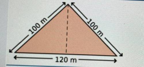Find the height of triangle
