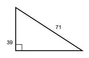 What is the length of the missing side? (Round to the nearest tenth)