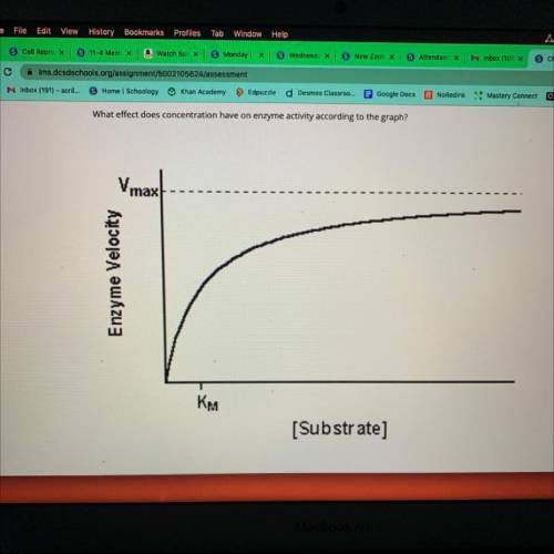 What effect does concentration have on enzyme activity according to the graph?