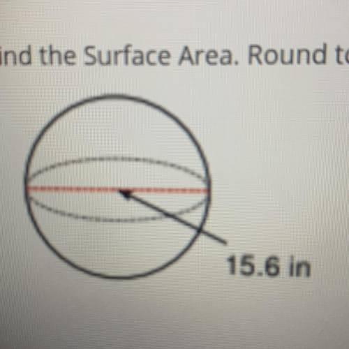 Find the Surface Area. Round to the nearest tenth.
15.6 In