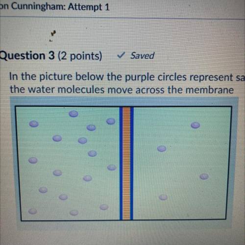 In the picture below the purple circles represent salt molecules. Which way would

the water molec