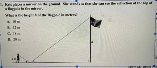 What is the height h of the flagpole in meters? 
A. 10m 
B. 12m 
C. 18m 
D. 20m