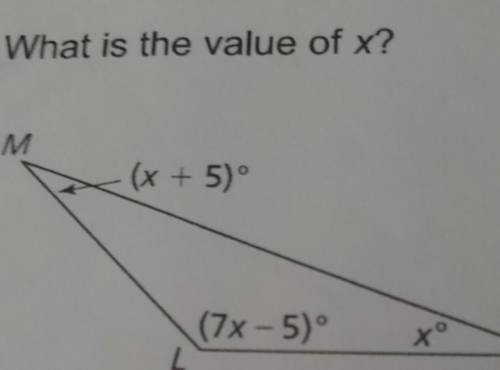 What is the value of x?? ​