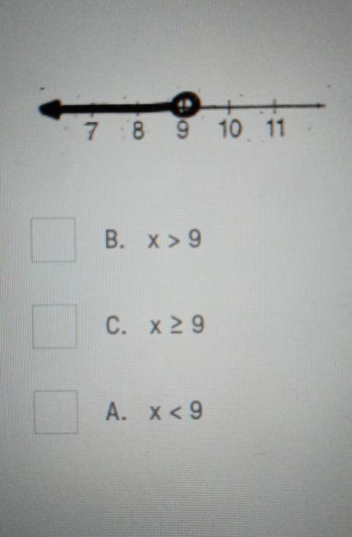 What is the correct Algebraic Inequality for the given graph?plsss help​