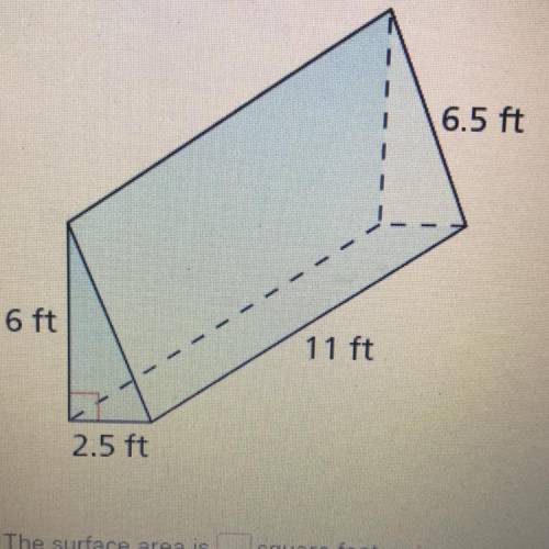 Find the surface area of the prism 6.5 6 2.5 11