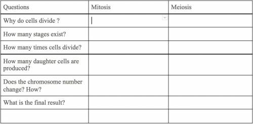 Mitosis vs. Meiosis answer chart