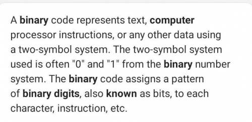 …….. and ……...are called binary digits. (Computer Science)