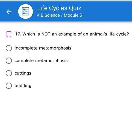Which is NOT an example of an animal’s life cycle?
