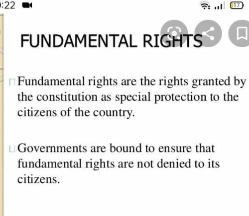 What do you mean by fundamental rights?​