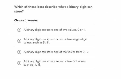 Which Of these best describes what a binary digit can store?
