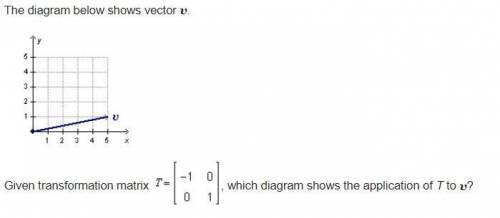 PLEASE HELP SOON

The diagram below shows vector v.
Given transformation matrix T = [-1 0 0 1], wh
