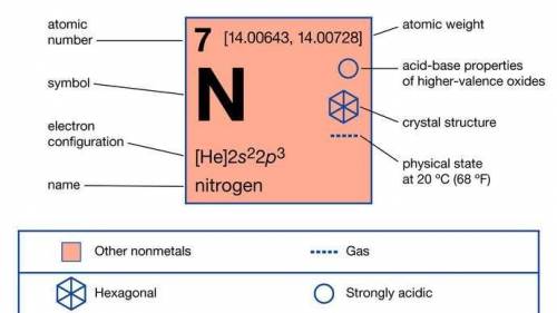 What is nitrogen?? explain!! ​