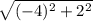 \sqrt{(-4)^2+2^2}