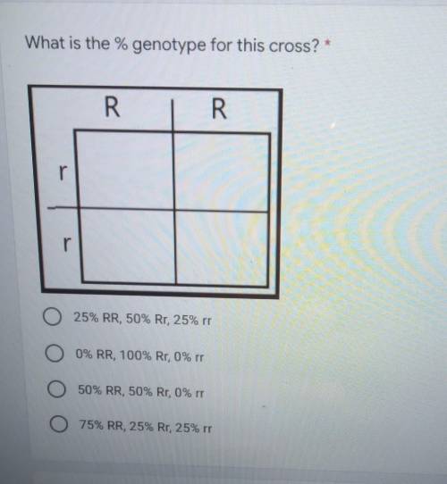 What is the % genotype for this cross? ​