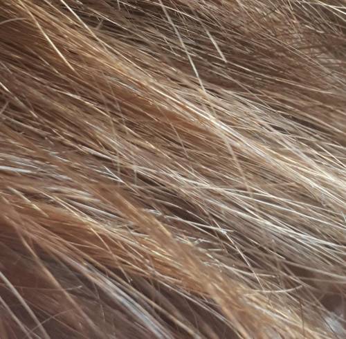 Which hair color is thi hair ?​