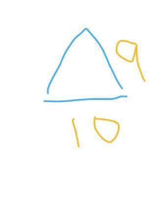 What is the area of the triangle.​