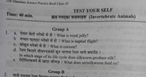 Guys please help me my sir was asking this question​