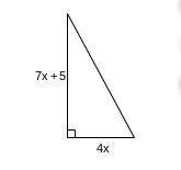 What is the length of the hypotenuse of the triangle when x=11​?