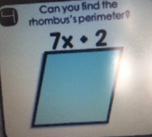 Can you find the rhombus’ perimeter
I’m marking branliest