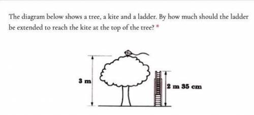 The diagram below shows a tree, a kite and a ladder. By how much should the ladder be extended to r