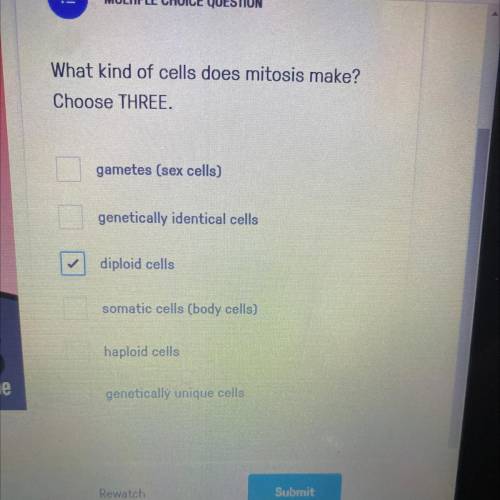 What kind of cells does mitosis make?
Choose THREE.