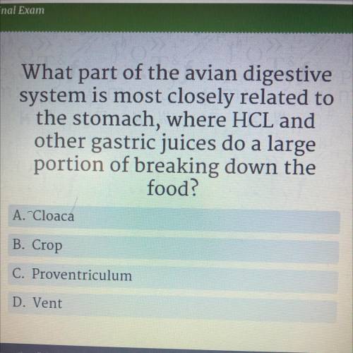 What part of the avian digestive system is most closely related to the stomach, where HCL and

oth
