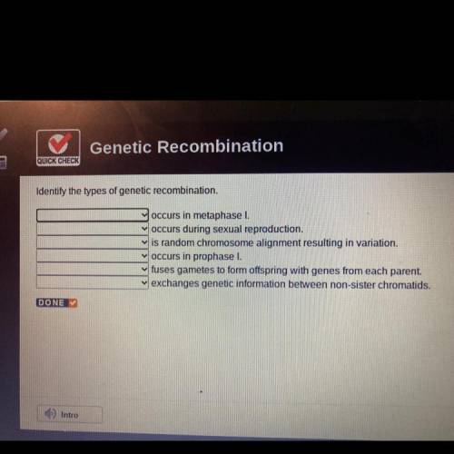 Identify the types of genetic recombination.

occurs in metaphase I
occurs during sexual reproduct