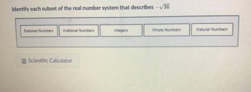 Directions: Click on the correct answers.

Identify each subset of the real number system that des