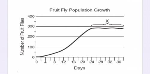 According the the graph what is the approximate carrying capacity of the fruit fly population?