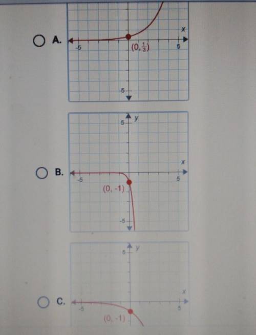 Suppose f(x)=2^x. What is the graph of g(x)=1/3f(x)?

(I couldn't fit all the letter choices but D