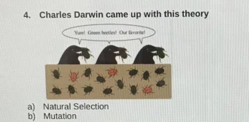 Please help

Charles Darwin came up with this theory?
A.natural selection 
B.mutation