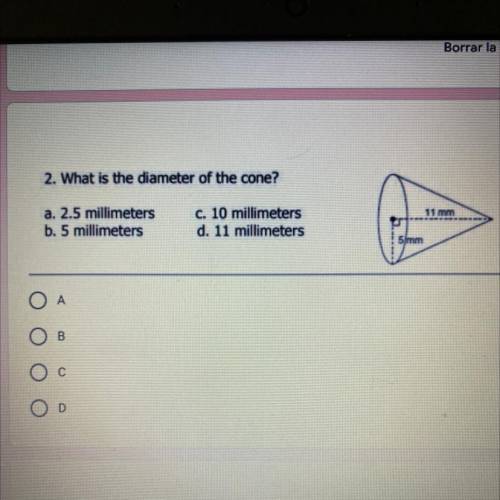 What is the diameter of the cone?