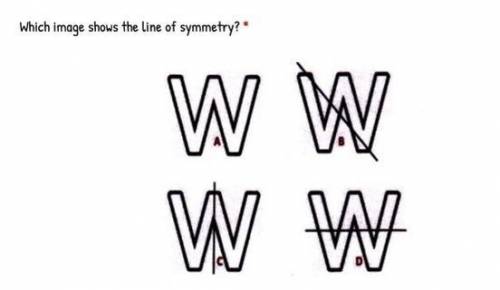Which image shows the line of symmetry?