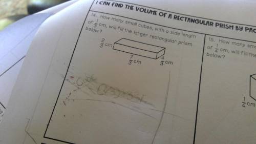 I need help with my math please help me understand. Itook a picture of it.
