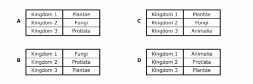A group of students used this diagram to classify three organisms into different kingdoms.Which tab