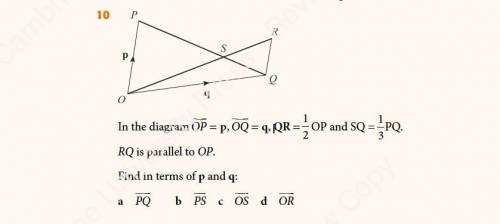 Pls help i am really struggling at this it is a vector question
