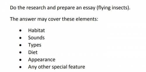 My question : Prepare an essay on the topic  Flying insects  . ​