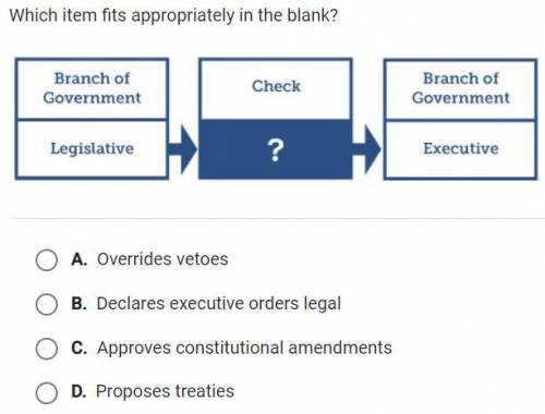 Which item fits appropriately in the blank

branch of government
check
branch of government
legisl