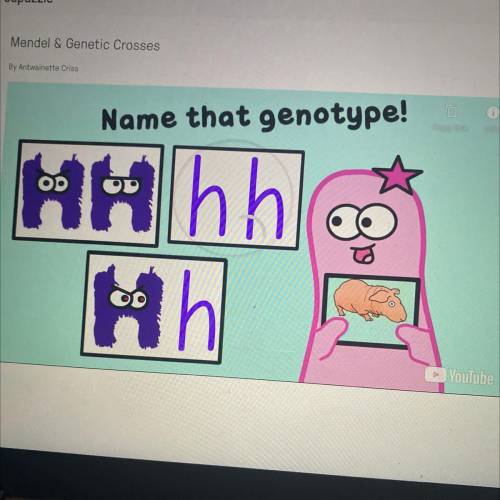 Which of the following represents a heterozygous genotype?
A. Hh
B. HH
C. hh
