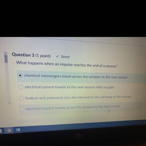 Somebody pls help I’m not even sure how to answer but I think it’s between a and d
