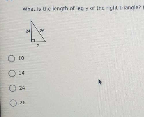 NEED NOWWWWhat is the length of leg y of the right triangle? 24 26 у O 10 14 24 26​