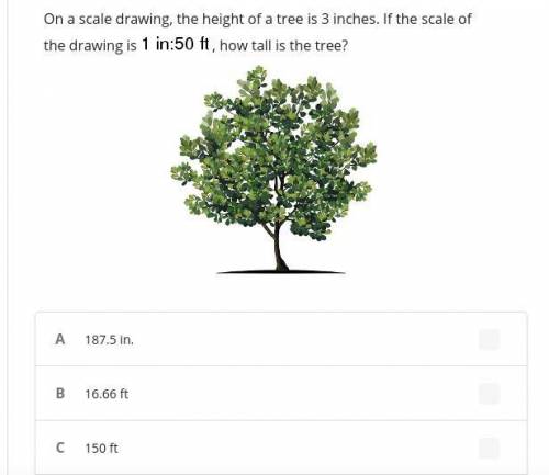 On a scale drawing, the height of a tree is 3 inches. If the scale of the drawing is 1 in:50 ft , h
