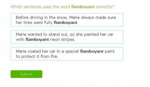 Which sentence uses the word flamboyant correctly?