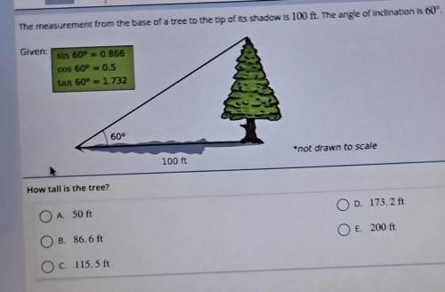 The measurement from the base of a tree to the up of its shadow is 100 ft. The angle of Glven: sin