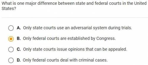 What is one major difference between state and federal courts in the United States
