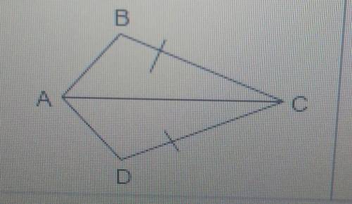 4) The triangles shown are congruent by SSS, yet there are only 2 pairs of congruent sides marked.